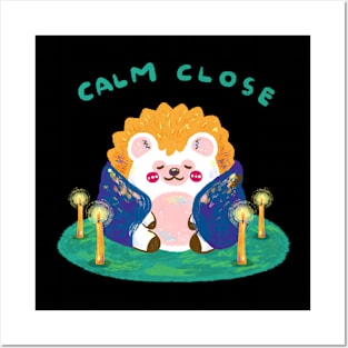 Calm close Posters and Art